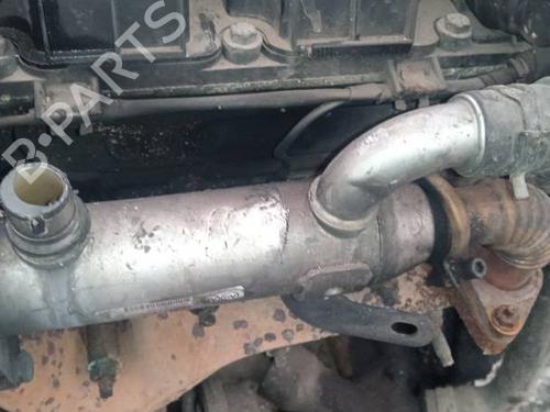 Used Egr Egr 35295679 35295679