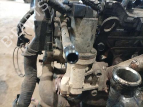 Used Egr Egr KIA CERATO I Hatchback (LD) 1.5 CRDi (102 hp) 36585415 36585415