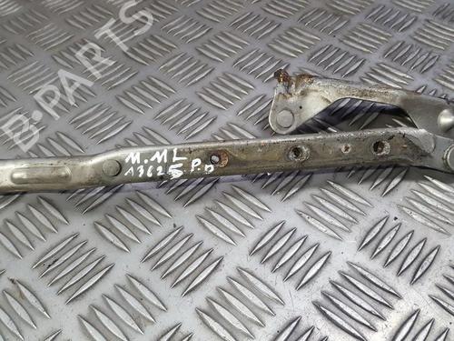hingedoor-check-strap-mercedes-benz-m-class-w163-1998-1999-2000-2001-2002-2003-2004-2005-35680658 main image