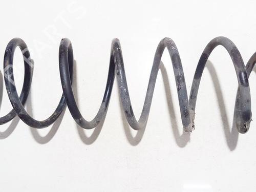 shock-absorber-spring-renault-laguna-ii-bg01_-2001-2002-2003-2004-2005-2006-2007-35867747 main image