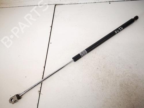 tailgate-lift-support-lexus-is-ii-_e2_-2005-2006-2007-2008-2009-2010-2011-2012-2013-35398667 main image