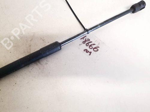 Tailgate lift support BMW X5 (E70) 3.0 d | BP35342876C138 - Image 2