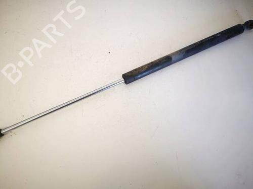 tailgate-lift-support-renault-laguna-ii-bg01_-2001-2002-2003-2004-2005-2006-2007-34795375 main image