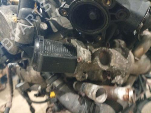 Egr OPEL CORSA D (S07) 1.3 CDTI (L08, L68) | BP36587433M69 - Image 2
