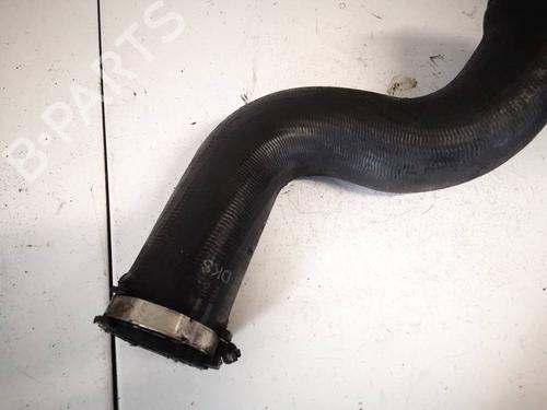 Pipe BMW X5 (E70) 3.0 d | BP32547502M125