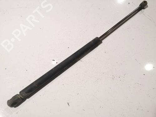 tailgate-lift-support-renault-scenic-ii-jm01_-2003-2004-2005-2006-2007-2008-2009-2010-34767578 main image