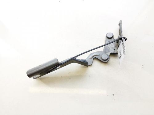hingedoor-check-strap-citroen-c5-i-dc_-2001-2002-2003-2004-2005-35637869 main image