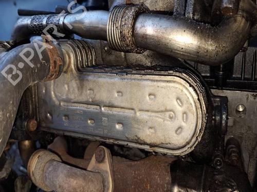 Used Egr Egr VW GOLF V (1K1) 1.9 TDI (90 hp) 36686298 36686298