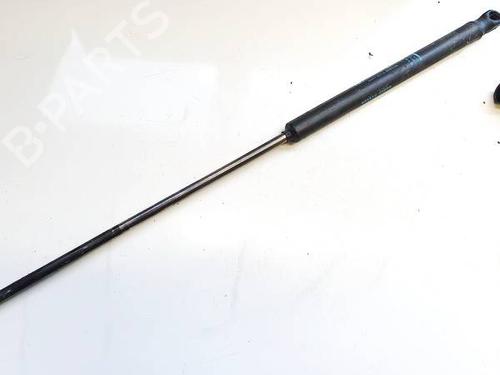 tailgate-lift-support-citroen-c4-ii-nc_-2009-35195858 main image