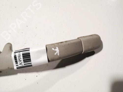Interior roof handle CITROËN C3 Pluriel (HB_) 1.4 | BP35131097I35 - Image 3