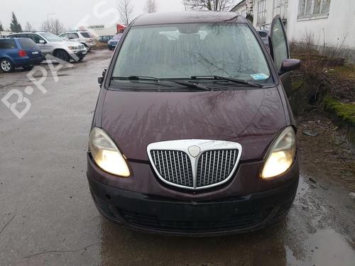 Brugte LANCIA MUSA (350_)  1.9 D Multijet (350.AXC1A)  4527538