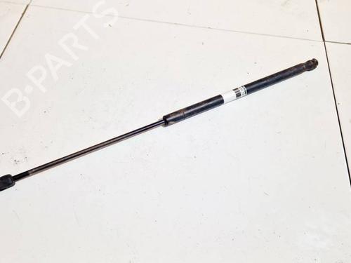 tailgate-lift-support-ford-focus-c-max-dm2-2003-2004-2005-2006-2007-35019718 main image