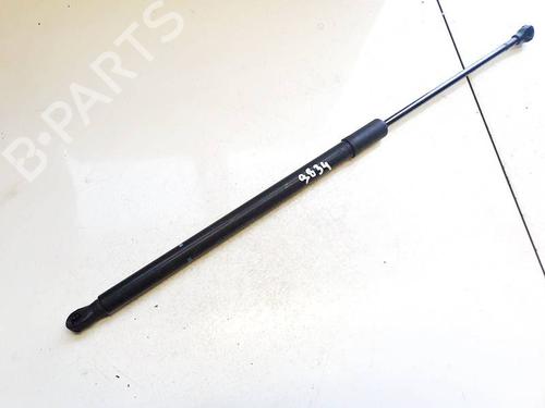 tailgate-lift-support-cupra-born-k11-2021-35103047 main image