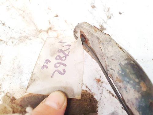 Anti roll bar CITROËN C8 (EA_, EB_) 2.2 HDi | BP35285041M96 - Image 2