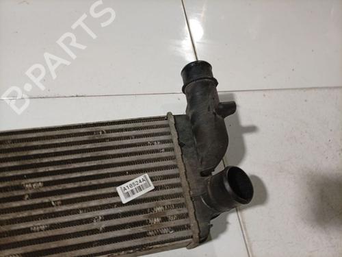 Intercooler FIAT DUCATO Van (244_) 2.8 JTD 4x4 | BP36583946M30 - Image 3