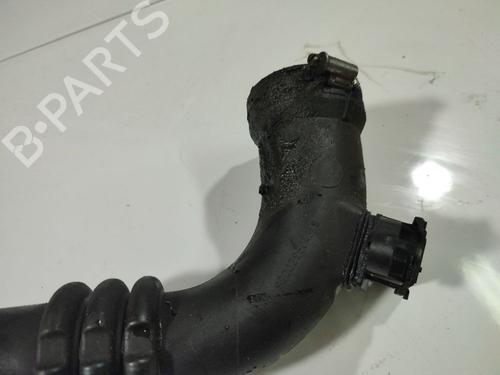 Pipe RENAULT ESPACE IV (JK0/1_) 2.0 (JK0A, JK1D, JK0N) | BP32550310M125