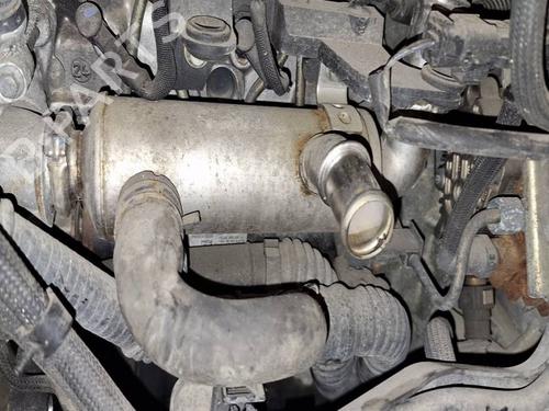 Egr Egr 38631633 38631633