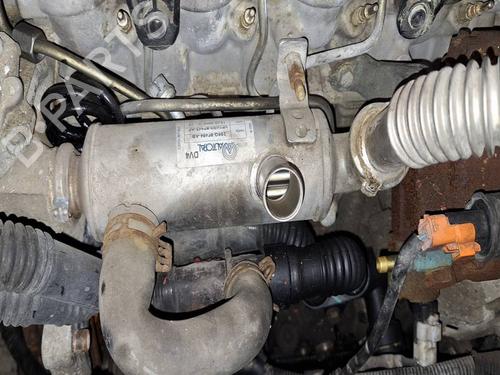 Used Egr Egr 34770029 34770029