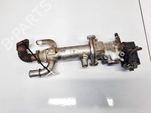 Used Egr Egr 35075641 35075641