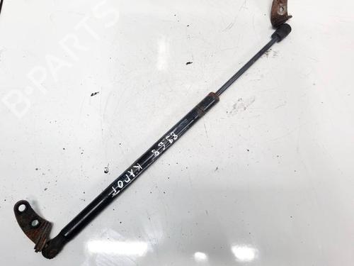 ammortizzatore-cofano-anteriore-tesla-model-s-5yjs-2012-35153904 main image