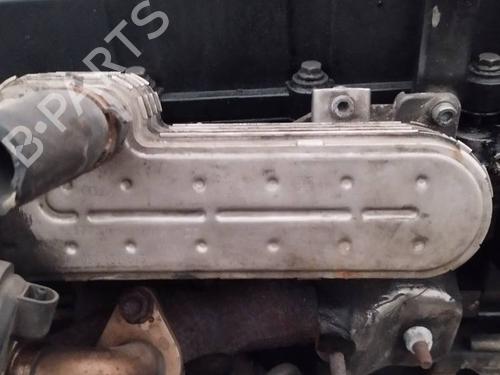Used Egr Egr 35217831 35217831