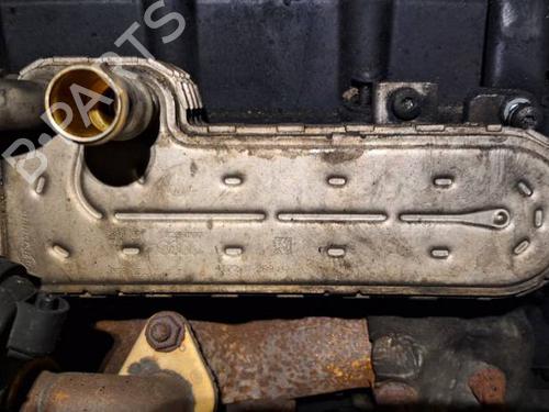 Egr VW PASSAT B6 (3C2) 2.0 TDI | BP34890427M69 - Image 4