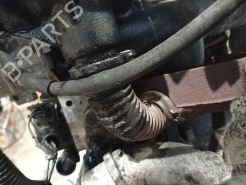 Pipe NISSAN PRIMERA Hatchback (P12) 1.9 dCi | BP38430292M125 - Image 4