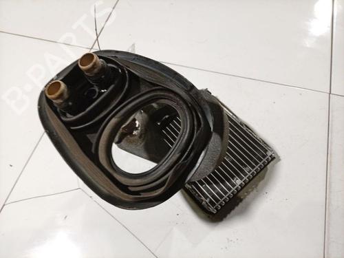 Varmeapparatregister Varmeapparatregister CHRYSLER YPSILON 1.2 (69 hp) 36250306 36250306