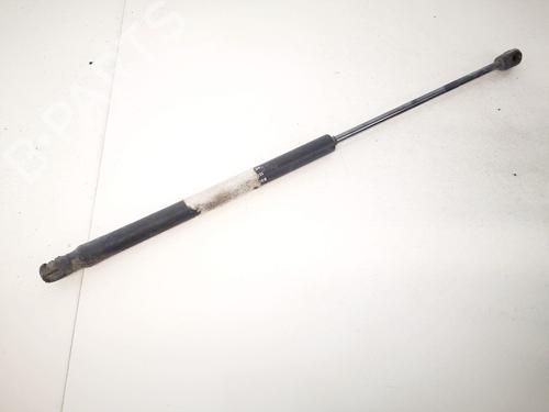 Amortecedor do capot Amortecedor do capot FIAT STILO (192_) 1.6 16V (192_XB1A) (103 hp) 35600319 35600319