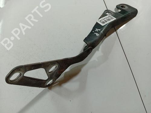 Used Hinge/Door check strap Hinge/Door check strap OPEL SIGNUM Hatchback (Z03) 2.2 DTI (F48) (125 hp) 34798041 34798041