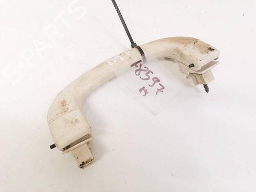interior-roof-handle-fiat-punto-evo-199_-2008-35363121 main image