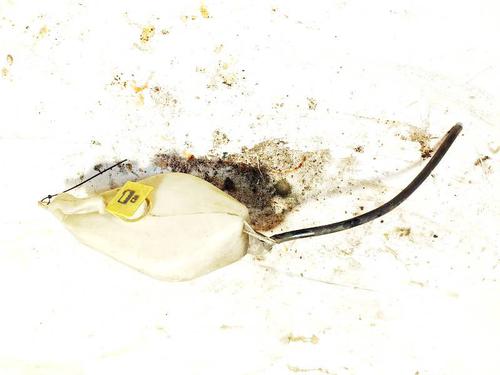 BP35076187C120 main image