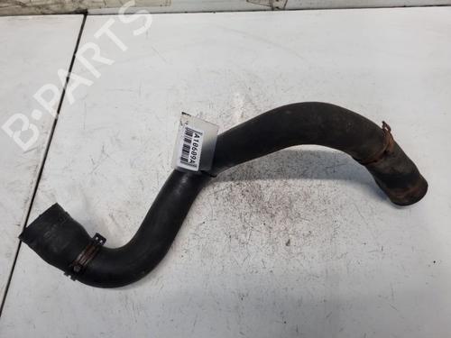 Used Pipe Pipe OPEL SIGNUM Hatchback (Z03) 1.9 CDTI (F48) (150 hp) 32568909 32568909