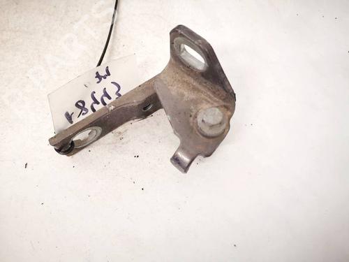 hingedoor-check-strap-ford-focus-iii-2010-2011-2012-2013-2014-2015-2016-2017-2018-2019-2020-32919252 main image