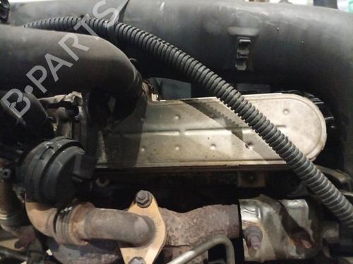 Used Egr Egr AUDI A3 (8P1) 2.0 TDI 16V (140 hp) 40275977 40275977