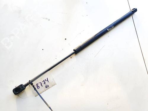 tailgate-lift-support-renault-scenic-ii-jm01_-2003-2004-2005-2006-2007-2008-2009-2010-35331129 main image