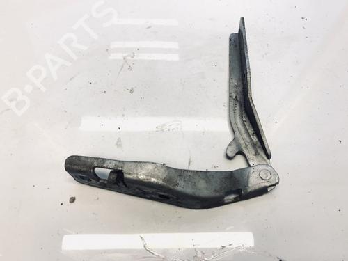 Used Hinge/Door check strap Hinge/Door check strap PEUGEOT 206 Hatchback (2A/C) 2.0 HDI 90 (90 hp) 35551341 35551341