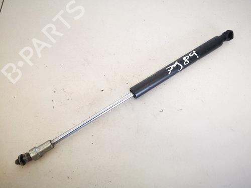 tailgate-lift-support-citroen-c5-iii-rd_-2008-2009-2010-2011-2012-2013-2014-2015-2016-2017-35399558 main image