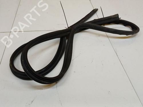 Gummiliste Gummiliste RENAULT SCÉNIC II (JM0/1_) 1.9 dCi (JM0G, JM12, JM1G, JM2C) (120 hp) 34786858 34786858