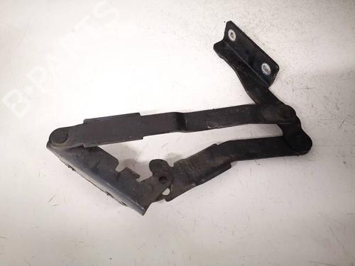 Used Hinge/Door check strap Hinge/Door check strap CITROËN C8 (EA_, EB_) 2.2 HDi (128 hp) 34868907 34868907