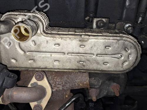 Egr VW PASSAT B6 (3C2) 2.0 TDI | BP34890427M69 - Image 2