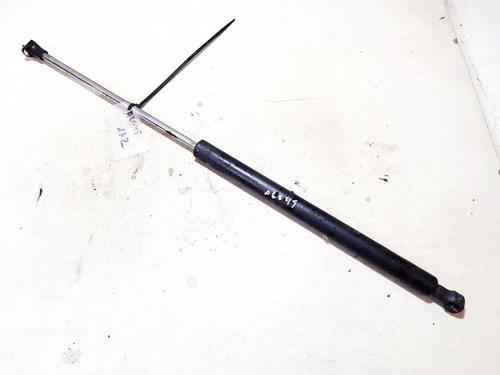 tailgate-lift-support-renault-laguna-ii-bg01_-2001-2002-2003-2004-2005-2006-2007-35633223 main image