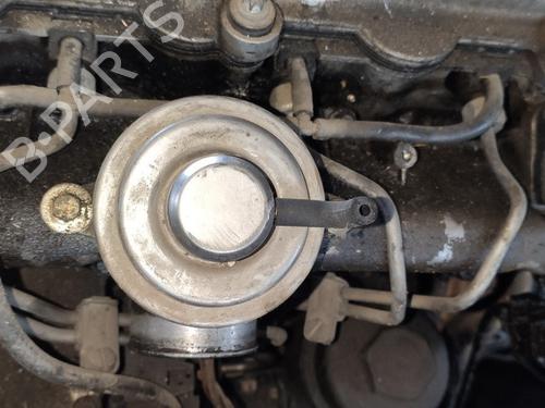 Used Egr Egr OPEL OMEGA B (V94) 2.0 DTI 16V (F69, M69, P69) (101 hp) 35479323 35479323