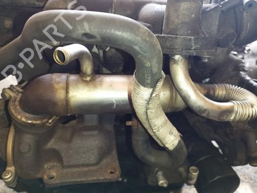 Used Egr Egr 35482950 35482950