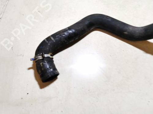 Pipe FORD FIESTA VI (CB1, CCN) 1.25 | BP33081732M125 - Image 3