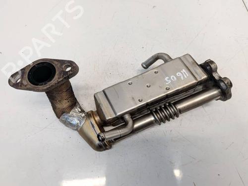 Used Egr Egr 38278154 38278154