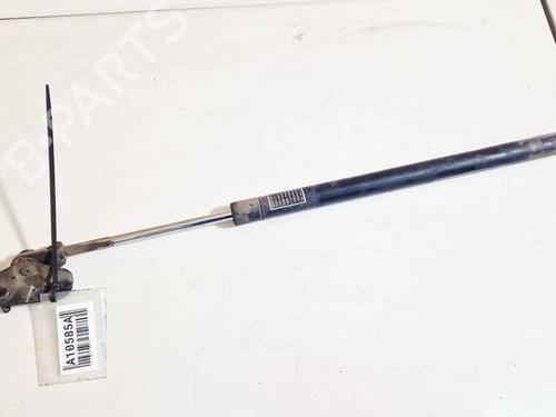 tailgate-lift-support-subaru-forester-sh_-2007-34964909 main image