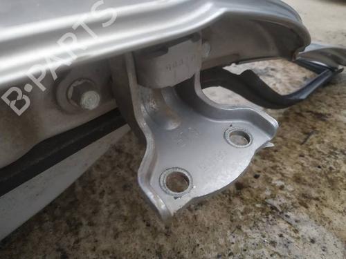 hingedoor-check-strap-chevrolet-captiva-c100-c140-2006-32614686 main image