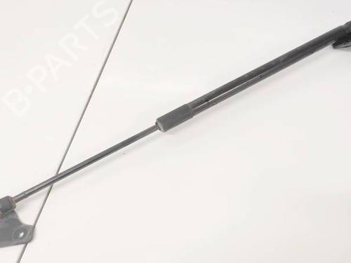 tailgate-lift-support-ford-focus-iii-2010-2011-2012-2013-2014-2015-2016-2017-2018-2019-2020-35324007 main image