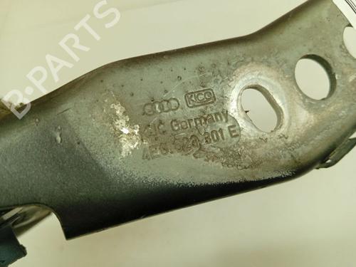 Hinge/Door check strap AUDI A8 D3 (4E2, 4E8) 4.0 TDI quattro | BP38766485C146 - Image 4